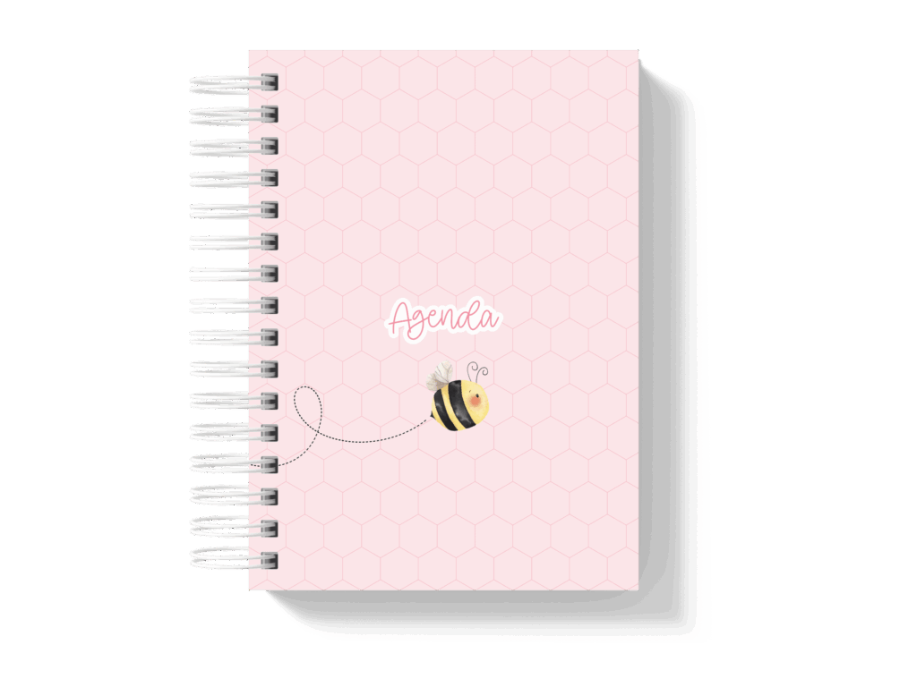 Capa_2-1024x768