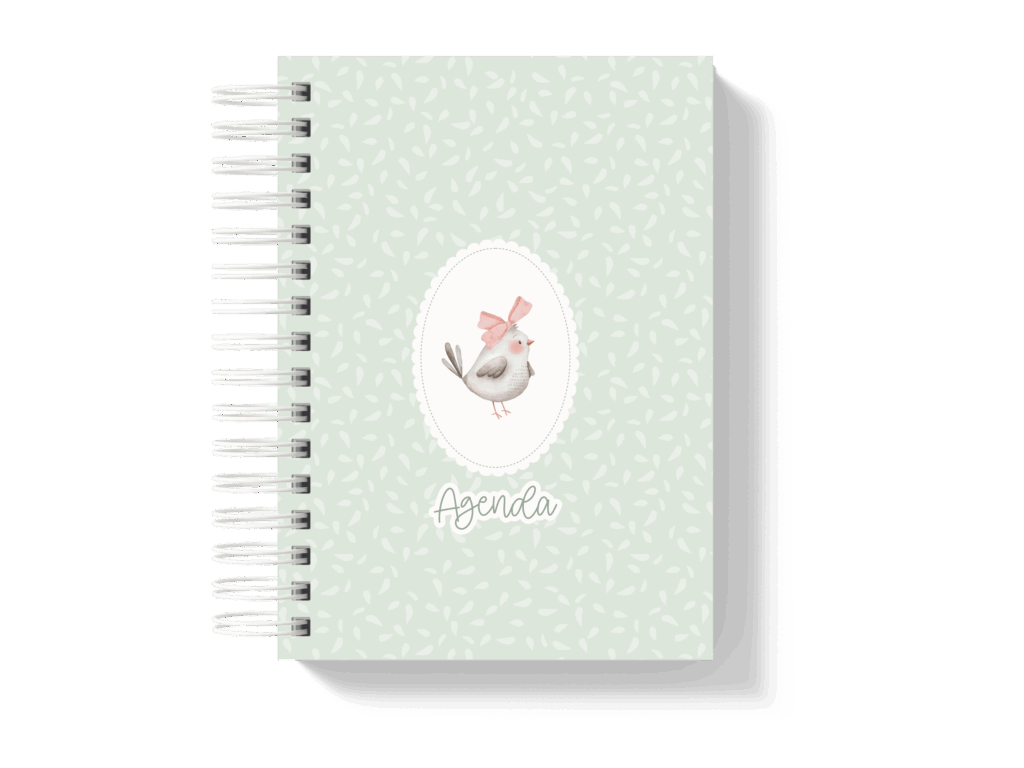 Capa_3-1024x768