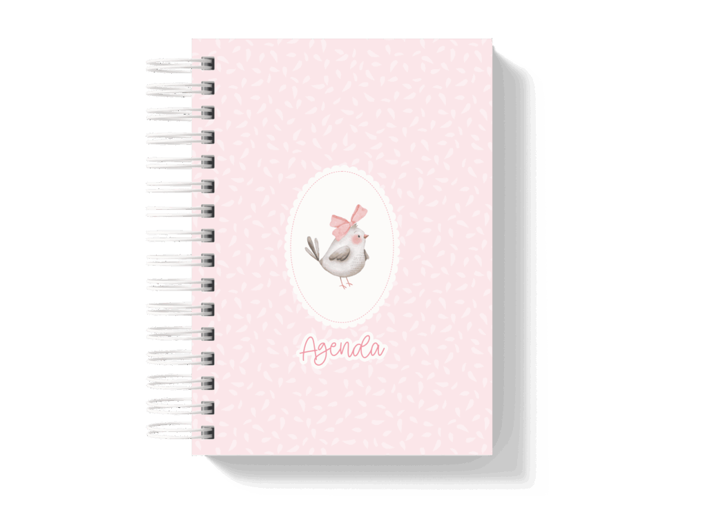 Capa_4-1024x768