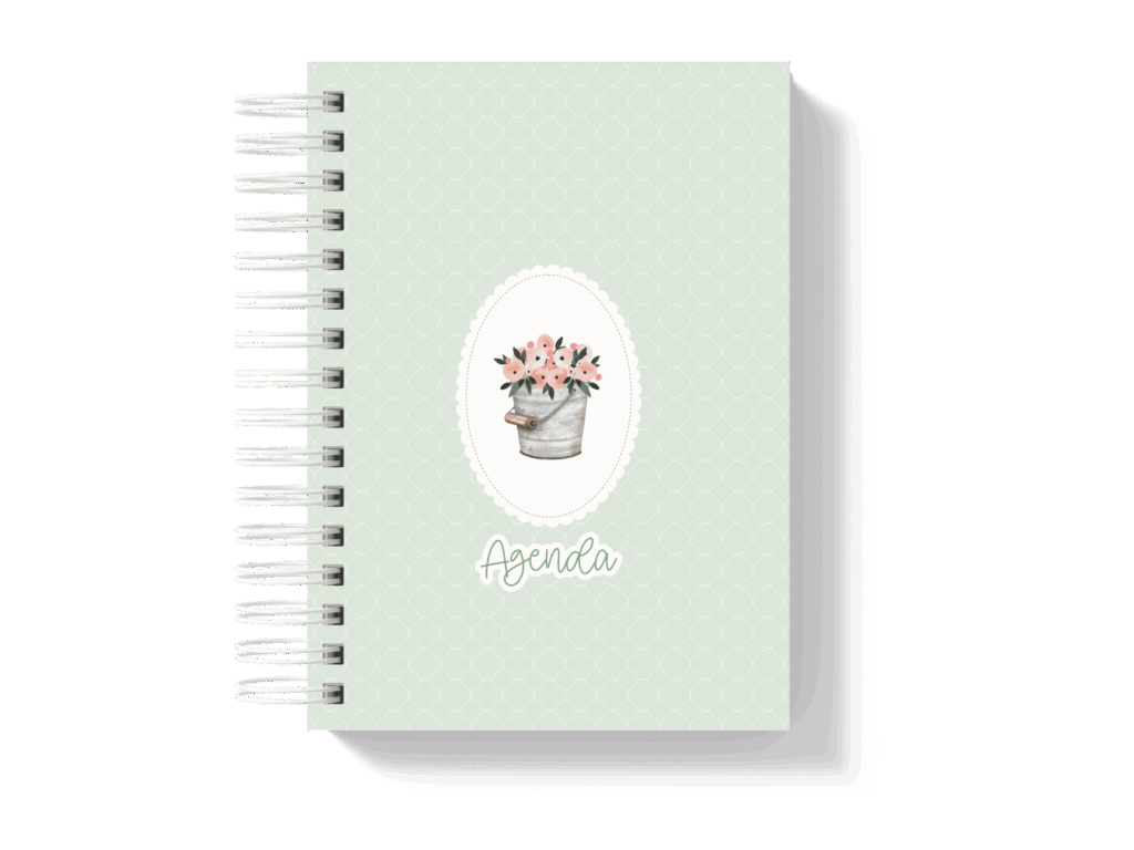 Capa_5-1024x768
